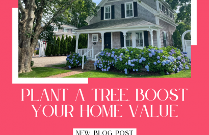 Plant a Tree, Boost Your Home Value